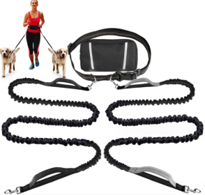 Pet Running Traction Sports Rope Set (Option: Silver gray-2.5x105x2double body)